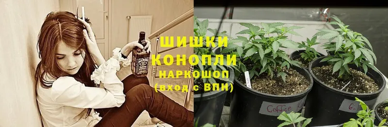 Бошки Шишки THC 21%  Дзержинский 